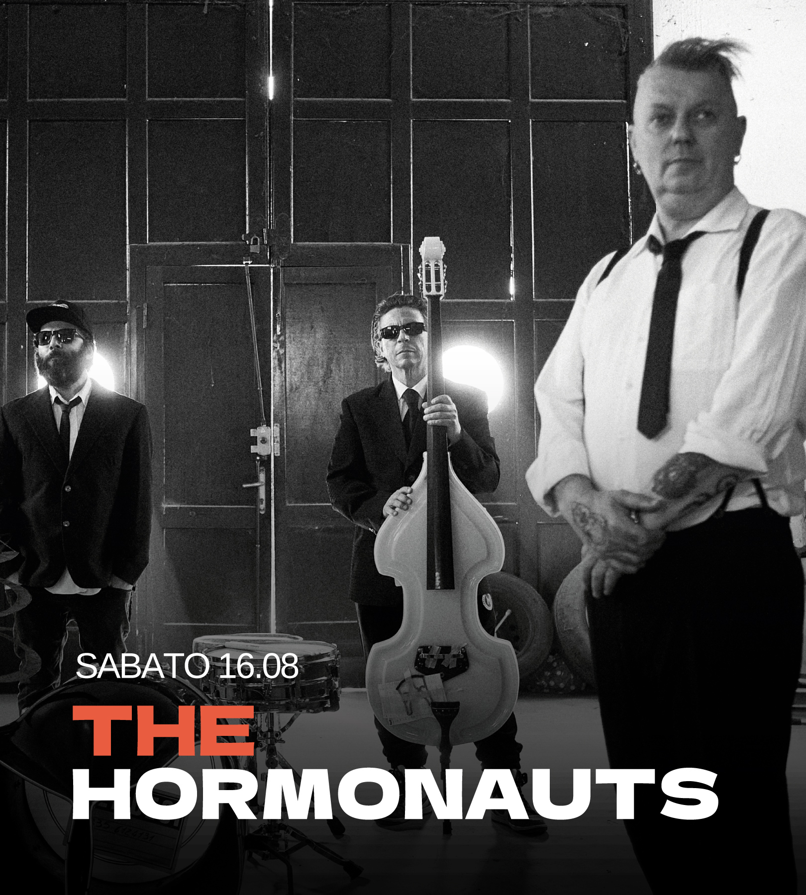 the hormonauts